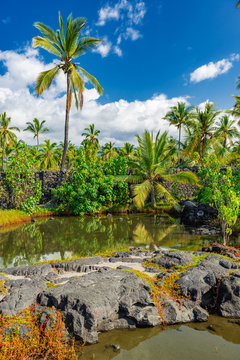 Fish Ponds On An Ancient Hawaiian Place Of Worship