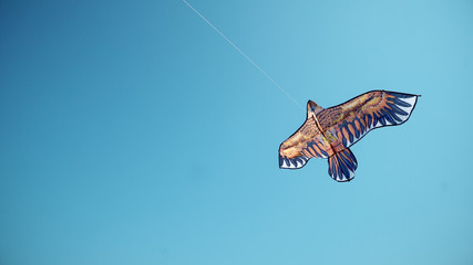 Fototapeta na wymiar Beautiful kites in blue sky in a kite festival