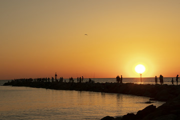 Obraz premium florida sunset
