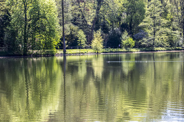 European Garden Heritage Network - Dortmund Citys Romberg Park lake in North Rhine Westphalia sunny spring time 