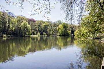 Fototapeta na wymiar European Garden Heritage Network - Dortmund Citys Romberg Park lake in North Rhine Westphalia sunny spring time 