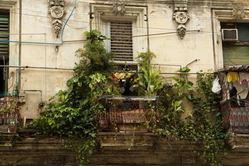 Fototapeta na wymiar Old house in old town of Havana in Cuba 