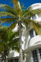 Fototapeta na wymiar Typical 1930s art-deco era architecture and palm trees on Ocean Drive, Miami Beach.
