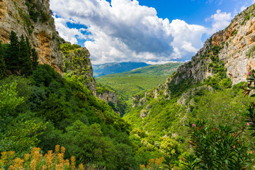Fototapeta na wymiar Lousios gorge in western Arcadia that stretches from Karytaina north to Dimitsana in Peloponnese Greece