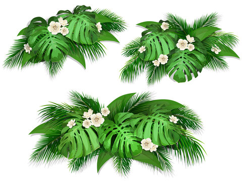 Summer composition with exotic leaves.  Set of bush tropical palm leaves, monstera and flowers for web page background, wallpaper, textile or poster.