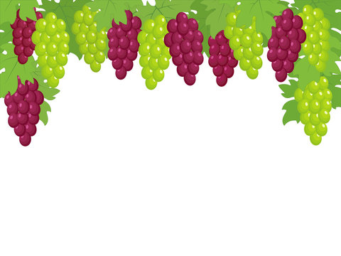 Green And Dark Red Grapes Border