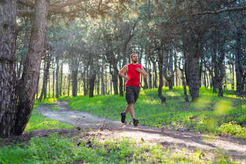 The athlete running along the forest trail, a copy of the space.