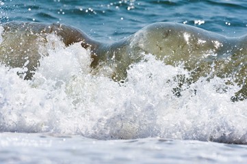 Big wave on the sea  with a lot of foam. fake color. Copy space. Concept of travel.