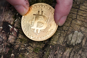 Male hand hold the coin on the dark background