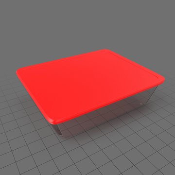 Large rectangular food container