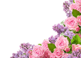 Obraz premium Narożnikowy ornament róże i bez odizolowywający na białym tle z kopii przestrzenią