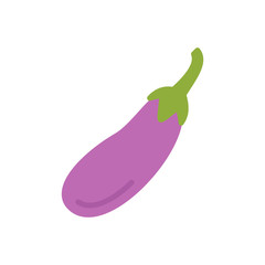 Eggplant vegetable icon vector flat