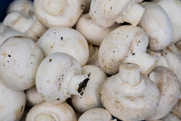 Tasty mushrooms on a wooden table. Mushrooms in the kitchen on a chopping board.