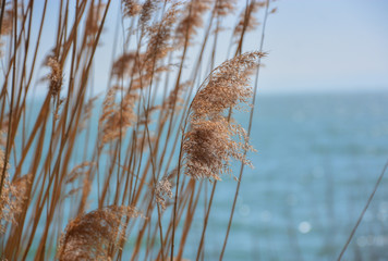 Sunbath after winter