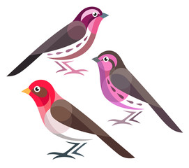 Stylized Birds - Rosefinches