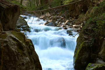 Cascata nel bosco