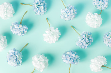 Blue and white Hydrangea flowers pattern on blue background