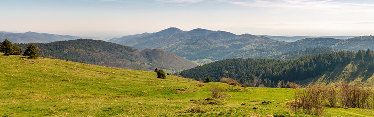 Obraz premium French landscape - Vosges. View towards the Vosges massif with hills and trees in the early morning.