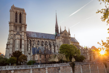 Obraz premium Paris, Notre Dame cathedral with spring trees in France