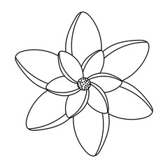 beautiful flower icon over white background, black and white design.  vector illustration
