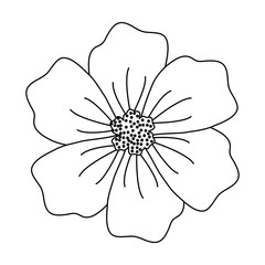 tropical flower icon over white background, black and white design. vector illustration