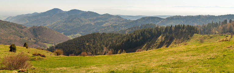 French landscape - Vosges. View towards the Vosges massif with hills and trees.