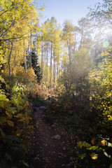 A mountains pathway near Vail, Colorado during Autumn. 