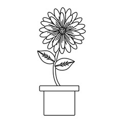 beautiful flower in a pot over white background, black and white design. vector illustration