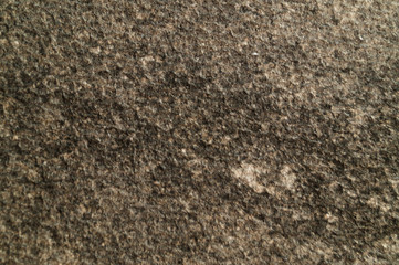 Cellular texture in gray tones from the surface of a flat asbestos-cement sheet.