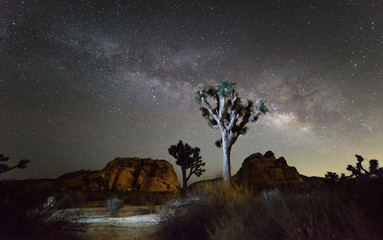 Milky Way Galaxy at night in Joshua Tree National Park, California - Powered by Adobe