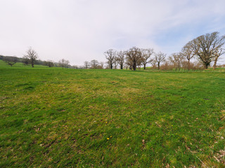 Spring forest park,Northern Ireland