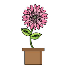 beautiful flower in a pot over white background, colorful design. vector illustration