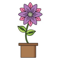 beautiful flower in a pot over white background, colorful design. vector illustration