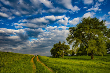 Landschaften gibts