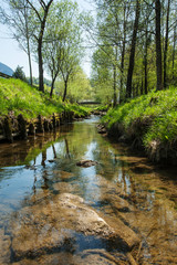 Landschaft, Fluss, Wald, Wasser, Sommer