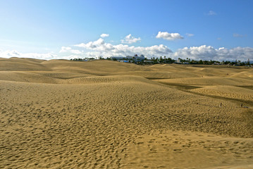 Fototapeta na wymiar Sand Dunes of Maspalomas, Gran Canaria. SPAIN.
