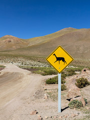 llama road sign at atacama desert
