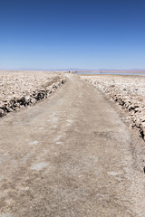 path in the middle of the salt flats in the atacama desert