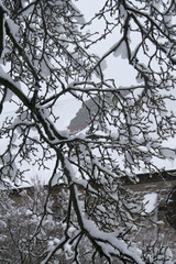 Providence RI Winter
