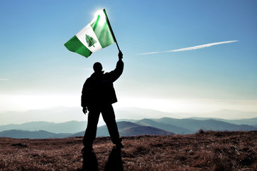 Successful silhouette man winner waving Norfolk Island flag on top of the mountain peak