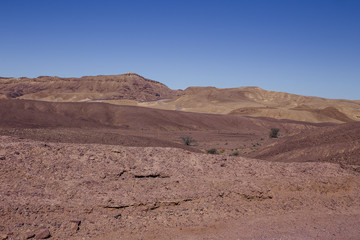 Way in the desert  in the Israil in sunny day with red mountains, green plants and blue sky