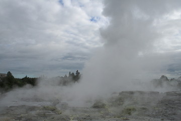 Rotorua geysers