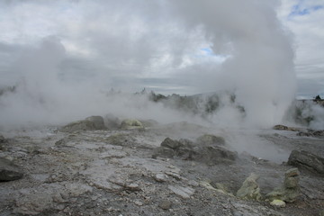 Fototapeta na wymiar Rotorua geysers