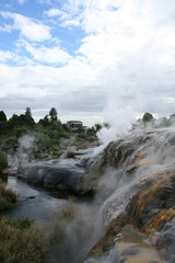 Rotorua geysers