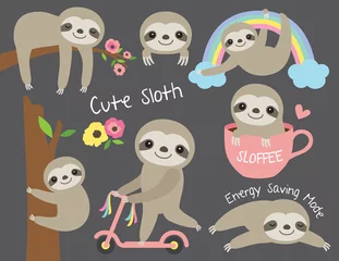 Peel and stick wall murals For her Vector illustration of cute baby sloth in various activities such as sleeping, riding bike, climbing and hanging from a tree.  