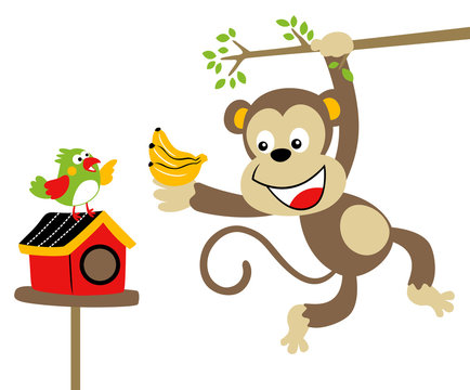 Nice monkey and bird, vector cartoon illustration