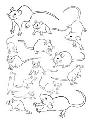 Mice animal line art. Vector, illustration. Good use for symbol, logo, web icon, mascot, coloring, sign, or any design you want.