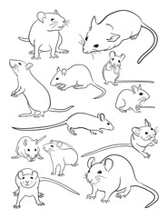 Mice line art. Vector, illustration. Good use for symbol, logo, web icon, mascot, coloring, sign, or any design you want.
