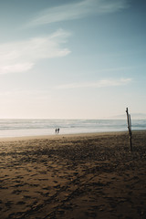 people on the beach 