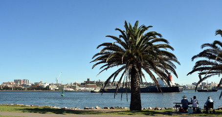 Obraz premium People sitting under the trees in Pitt st Reserve. Newcastle is on the other side of Hunter river.